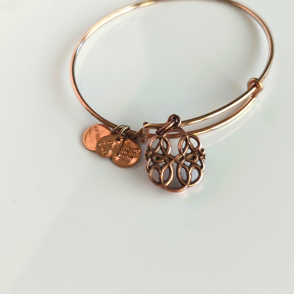 Alex and Ani Rose Gold Sterling Silver Path of Life Raffaelan Bangle